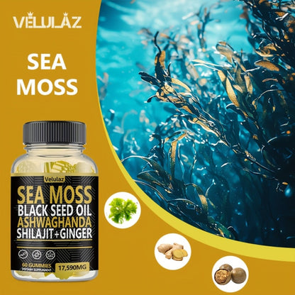 Sea Moss Herbal Gummies, 60 Count with Black Seed Oil, Ashwagandha, Shilajit and Ginger Blend