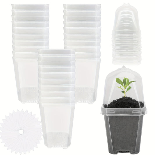 Clear Nursery Pots 3 Inch with Humidity Dome Lids 30pcs | Stackable Seed Starter Pots | Built-In Labels | Succulents Seedlings Cuttings Propagation
