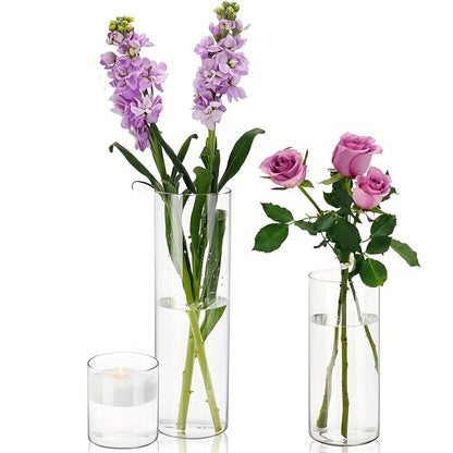 Clear Glass Cylinder Vase Set in 18- or 24-Piece Configurations with 4, 8 and 12-Inch Heights