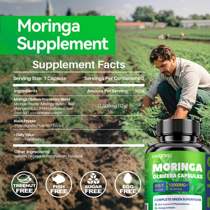 Herbal Supplements with Megneta Label, Moringa Oleifera 12000mg per Serving, 60 Capsules per Bottle