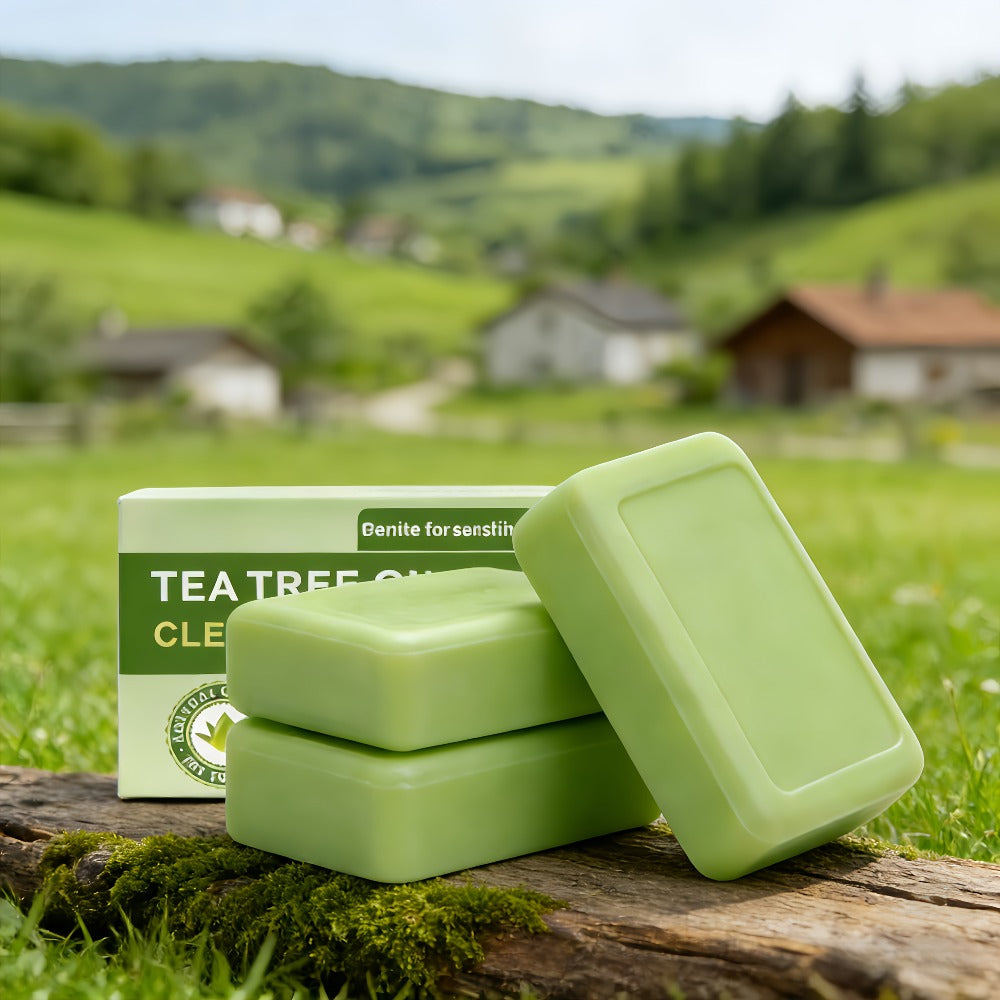 Tea Tree Bar Soap, Three-Pack of Green Plant-Essence-Labeled Bars for Face and Body Washing