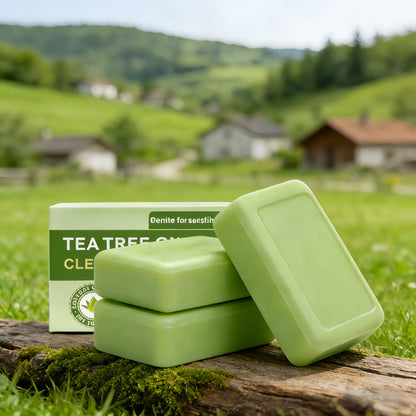 Tea Tree Bar Soap, Three-Pack of Green Plant-Essence-Labeled Bars for Face and Body Washing