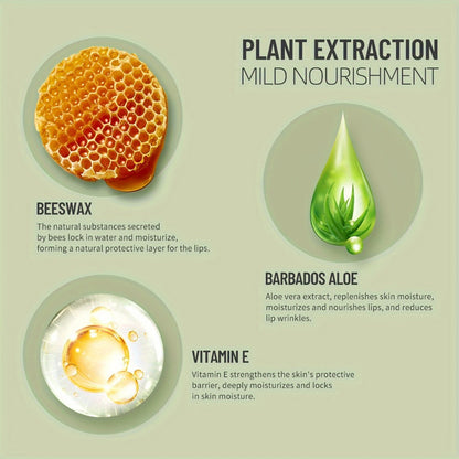 12-Piece Aloe-Themed Lip Balm Stick Set with Color-Changing Finish, Beeswax and Vitamin E Labels
