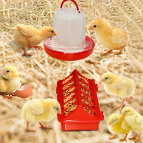 Chicken Brooder Tent Bundle | Chick Playpen Feeder Waterer Perch Kit