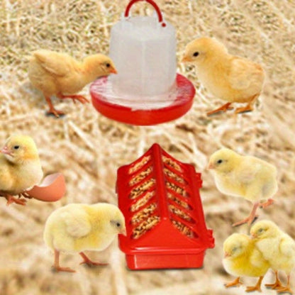 Chicken Brooder Tent Bundle | Chick Playpen Feeder Waterer Perch Kit