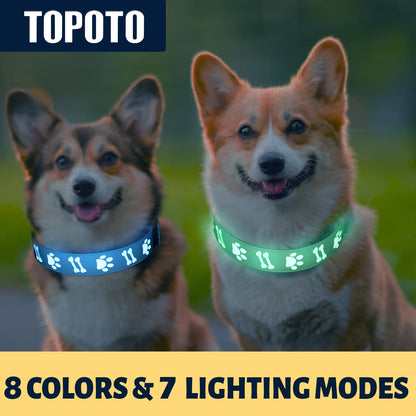 LED Dog Collar USB Rechargeable – 15 Light Modes Adjustable Glow Safety Collar for Nighttime Walks, Soft 3D Flash Pattern Pet Collar, XS–L, Blue, Pink, Red, Black, Green