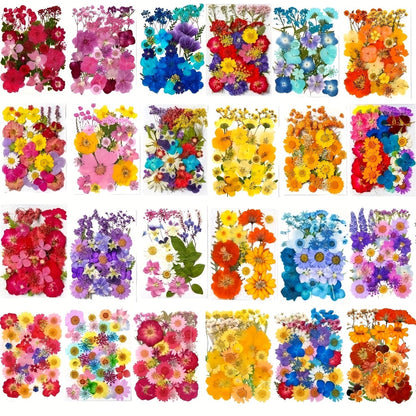 500-Piece Natural Dried Pressed Flower and Leaf Assortment for Resin, Scrapbooks, Cards and DIY Crafts