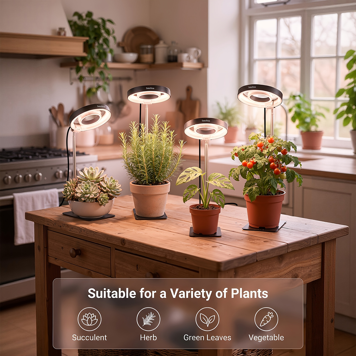 Grow Light for Indoor Plants 4-Head Full Spectrum | 720° Rotatable Retractable Pole 4 Dimming Modes Auto Timer 3/6/9H USB | Desktop Potted Plants