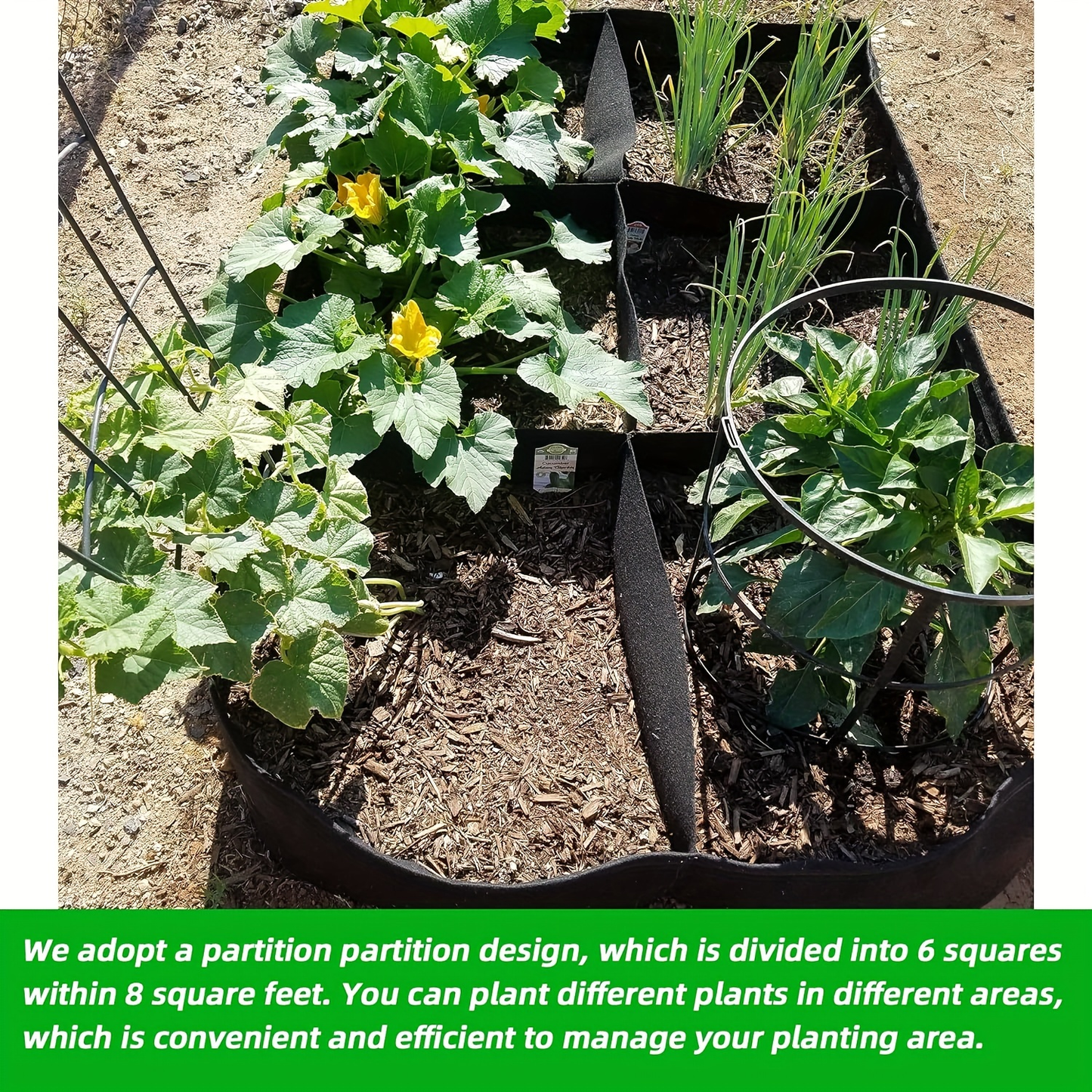 Six-Grid Rectangular Raised Garden Bed Grow Bag with Displayed 48 x 24 x 12-Inch Dimensions