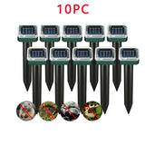 Ten Pieces