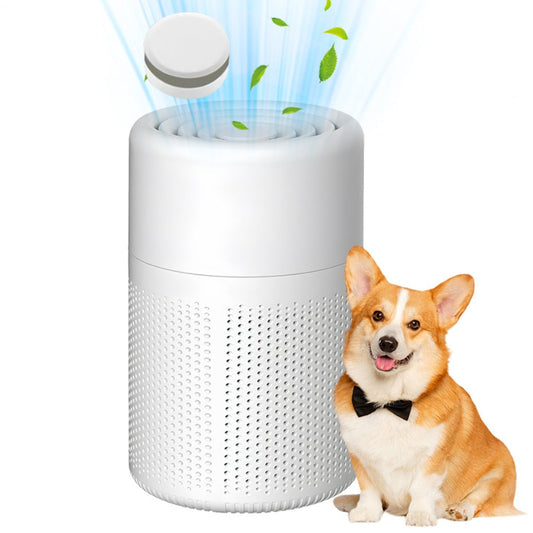 Air Purifier with Negative-Ion Function, Type-C Power, Blue Light, Aroma Box and 50 m3/h Airflow