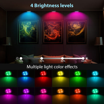 Picture Lights for Wall 13 RGB Color LED Art Light, Wireless Battery Operated Magnetic Painting Light with Remote, 3/6/12Pcs Puck Lights for Picture Frame Home Wall Decor