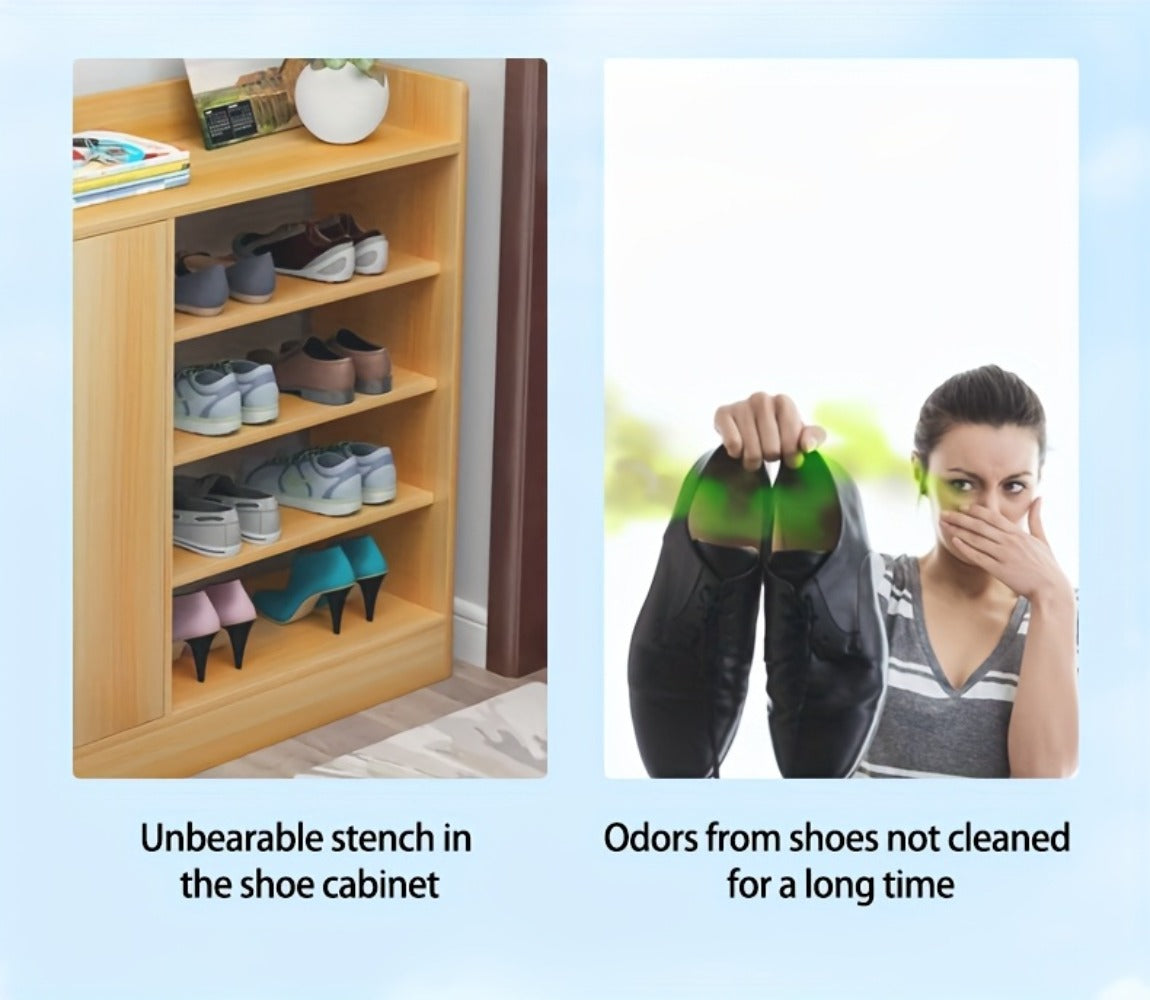 Plismire Shoe Deodorizer Spray, 260 ml Can for Shoes, Socks, Shoe Cabinets, Locker Rooms and Gyms