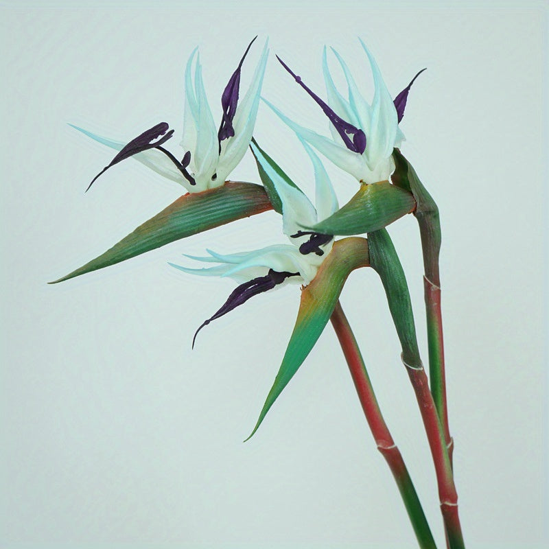 Artificial Bird of Paradise Flower Stems, Three-Piece 24.5-Inch Rubber-Labeled Set in Four Colors
