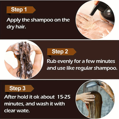Hair Color Shampoo, RILSIC 3-in-1 Two-Pack of 500ml Pump Bottles with Black or Dark Brown Selection