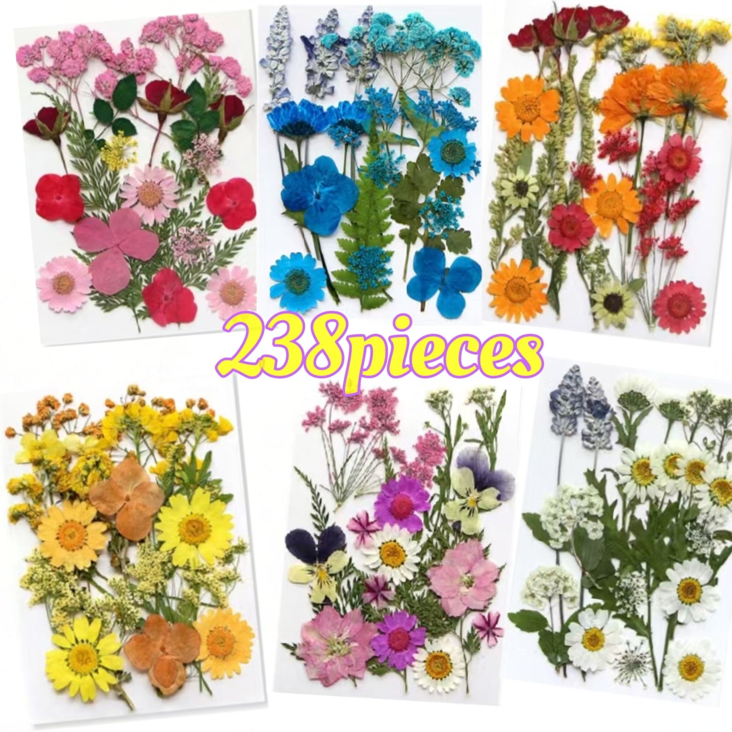 Pressed Flower Craft Set in 189, 238, 287 or 319-Piece Mixed Packs for Resin and Paper Projects