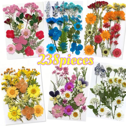 Pressed Flower Craft Set in 189, 238, 287 or 319-Piece Mixed Packs for Resin and Paper Projects