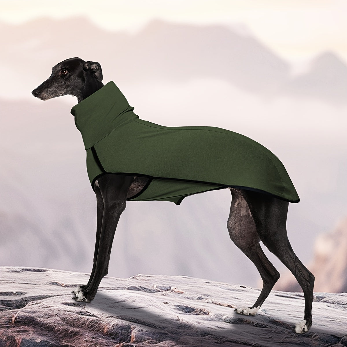 High-Neck Pullover Dog Coat in Burgundy, Navy or Fern Green with Selected XL Through 4XL Sizes