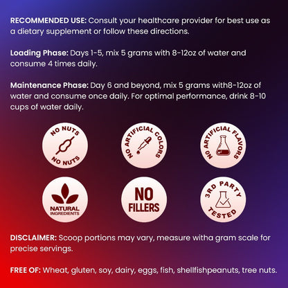 Micronized Creatine Monohydrate Powder 300g — 5000mg Per Serving | 60 Servings | Strength, Power & Focus Formula | No Artificial Sweeteners or Flavors | Pure Unflavored Pre & Post Workout