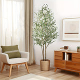 6ft( 1224 leaves & 68 fruits)