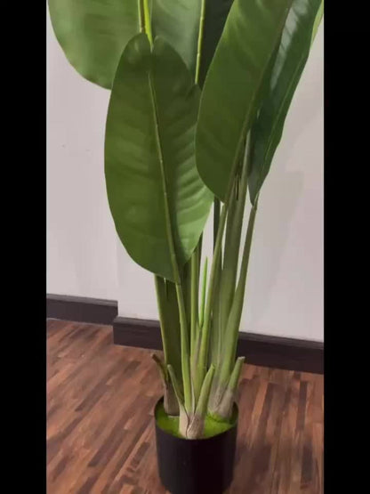Artificial Bird of Paradise Tree with Broad Green Leaves and Base Pot in 62.99 or 70.87-Inch Heights