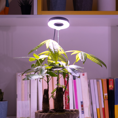Magnetic Full-Spectrum Grow Light with 360-Degree Adjustable Head, Timer and Two- or Six-Piece Options