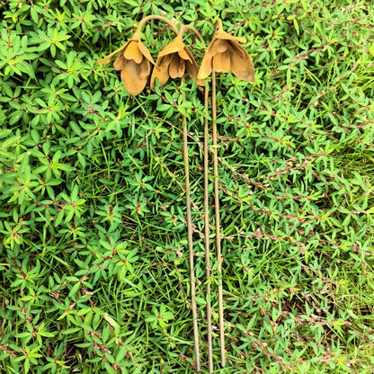 Rustic Metal Snowdrop Garden Stakes, Three-Piece Curved Flower Set with 25 cm Stems for Pots and Borders