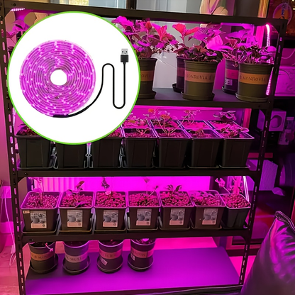 LED Grow Light Strip 16.4 FT Full Spectrum – USB 5V Cuttable Plant Light for Under Cabinet, Indoor Plants, Bonsai, Succulents & Hydroponics, Low Voltage Safe, 1pc or 2pcs