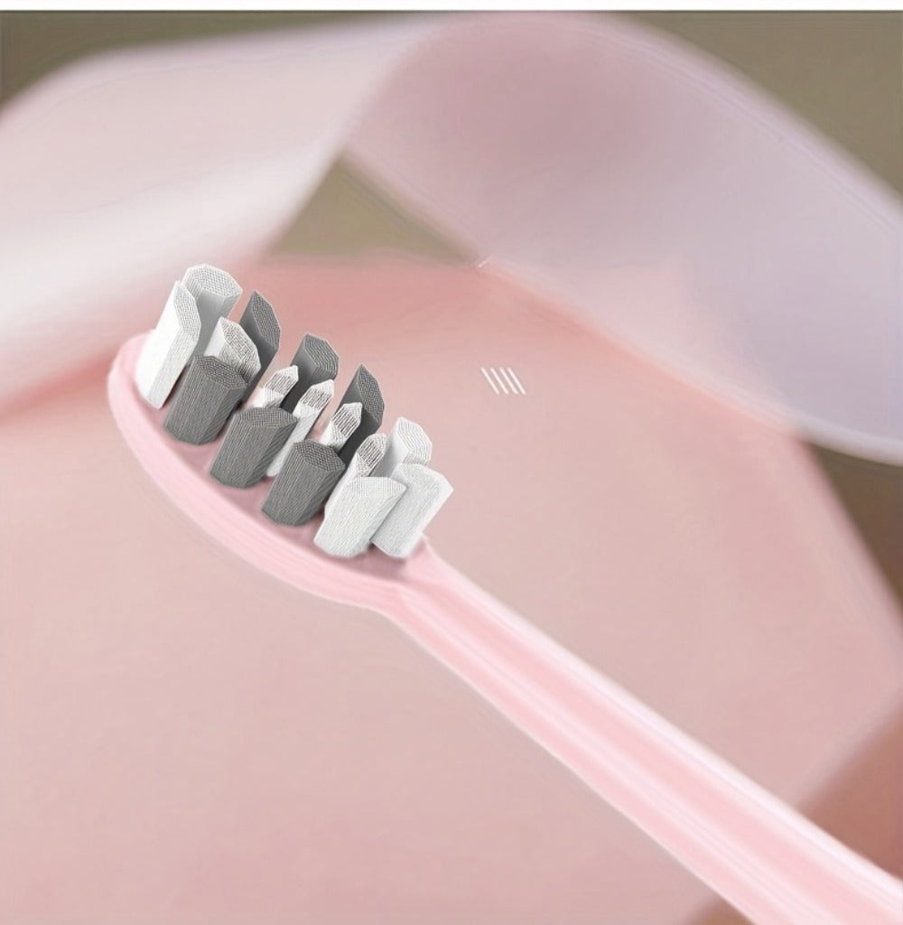 Electric Toothbrush with IPX8 Rating, Five Brush Heads, Metal Handle, USB Charging and Two-Minute Timer