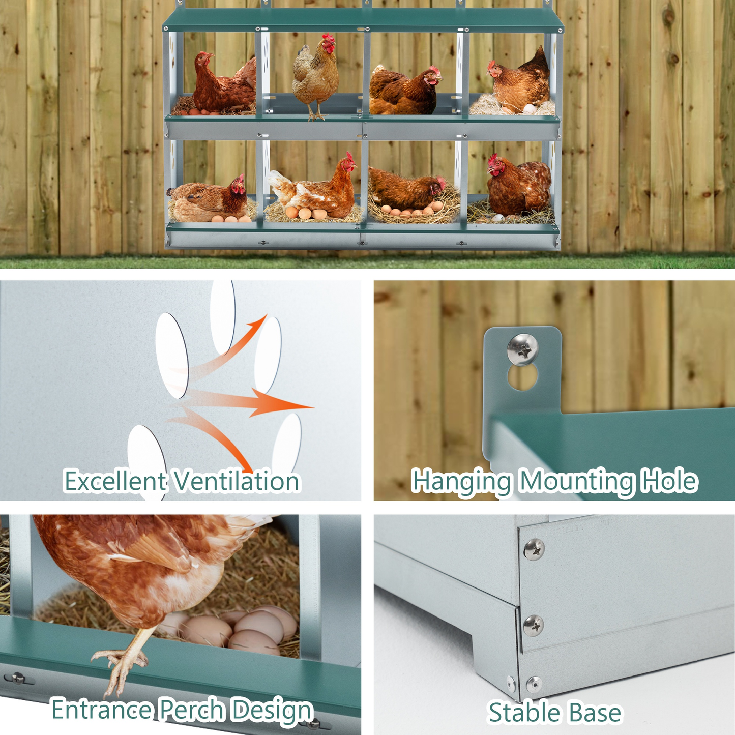 Metal Chicken Nesting Box Galvanized Steel 3-10 Compartment Roll-Away