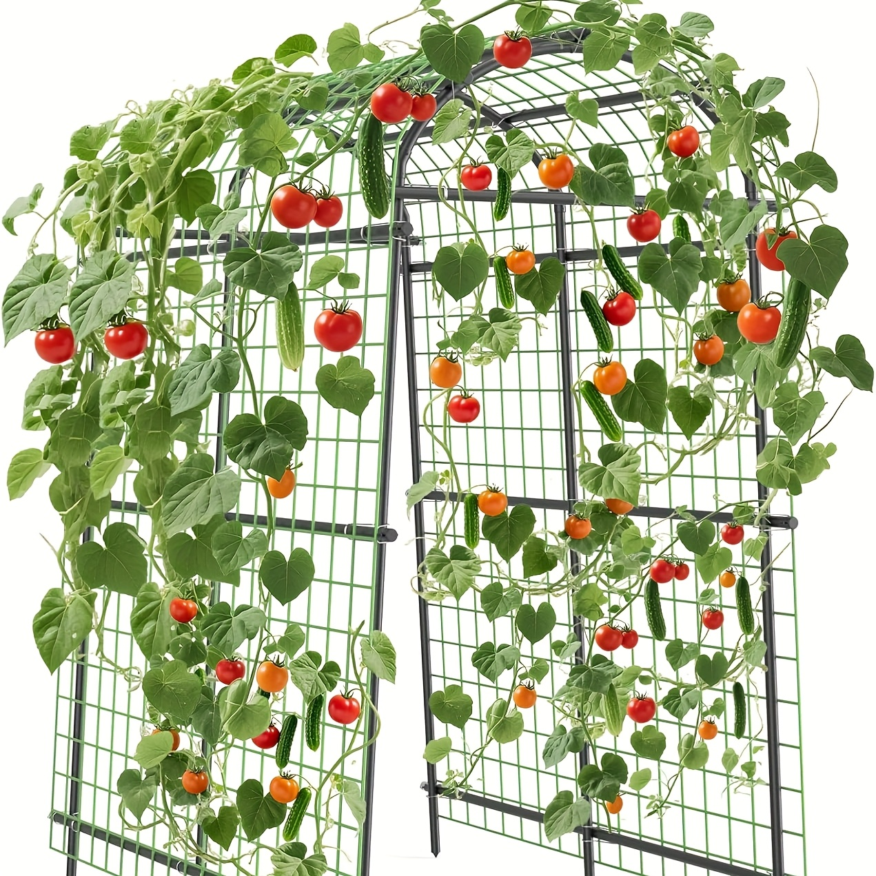 7.5-Foot Garden Arch Trellis with Metal Grid Panels, Seven Horizontal Pipes and Black Frame