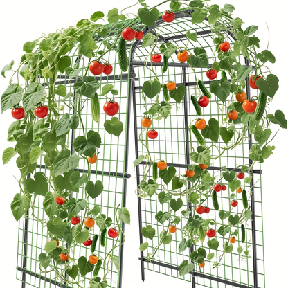 7.5-Foot Garden Arch Trellis with Metal Grid Panels, Seven Horizontal Pipes and Black Frame