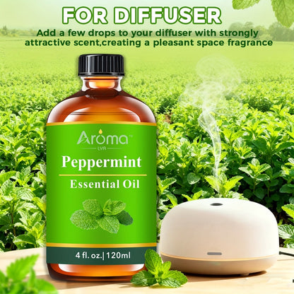 Essential Oil Peppermint 120ml or 10ml Ceramic-Stone Set for Diffuser, Candle and Car Fragrance