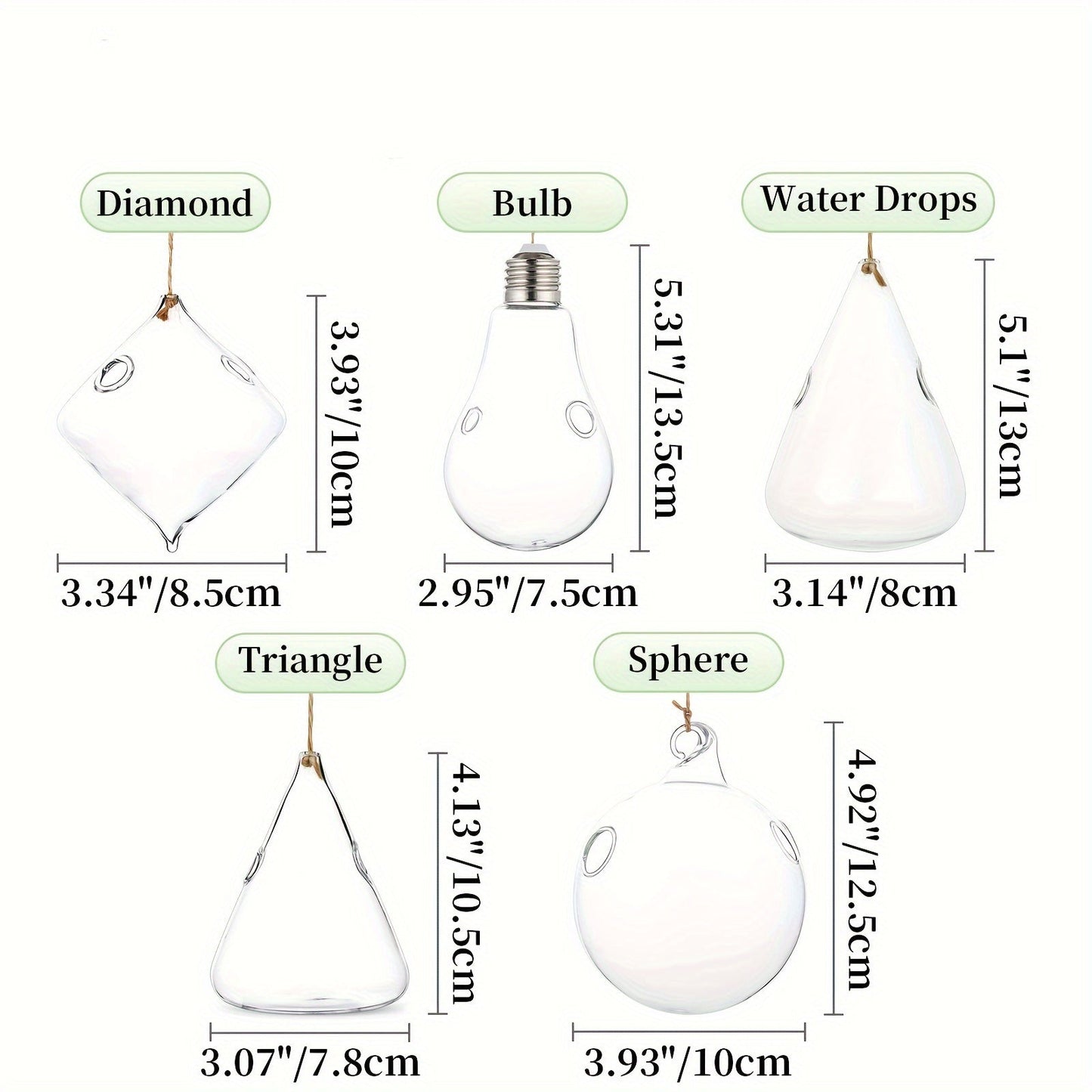 Five-Shape Clear Glass Hanging Terrarium Set with Rope Loops for Air Plants, Cuttings and Wall Display