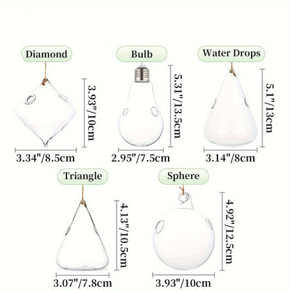 Five-Shape Clear Glass Hanging Terrarium Set with Rope Loops for Air Plants, Cuttings and Wall Display
