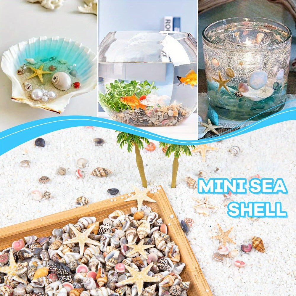 Tiny Seashells Starfish Bulk Set Beach Decor Crafts Vase Filler for Entryways, Bedrooms and Living Spaces