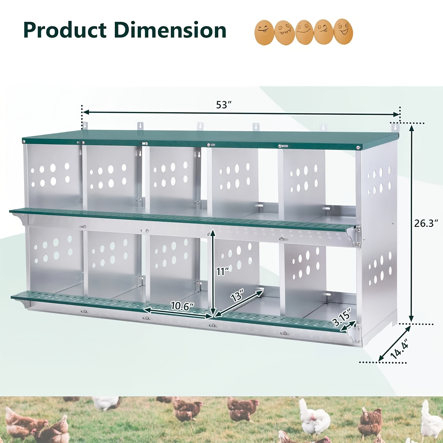 Metal Chicken Nesting Box Galvanized Steel 3-10 Compartment Roll-Away