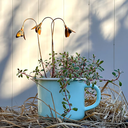 Rustic Metal Snowdrop Garden Stakes, Three-Piece Curved Flower Set with 25 cm Stems for Pots and Borders