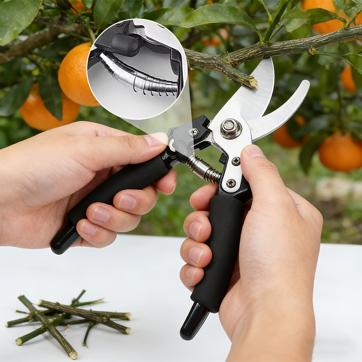 Stainless Steel Pruning Shears, 8.27 Inches with Sharpening Stone in One- or Two-Set Options