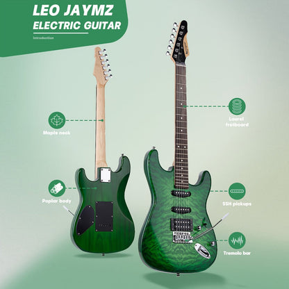 Electric Guitar, Full Size, 39 Inch, Leo, Jaymz, Inch for Lessons and Practice detail image - detail view 4