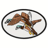 Anatidae