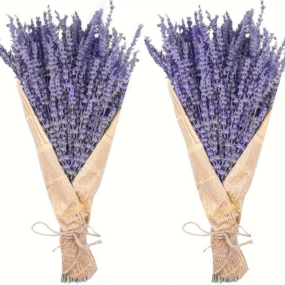 Dried Lavender Bundles 2 Pack, 210 Stems 17-Inch Natural Dried Lavender Flowers for Home Decor, Shower, Wedding Crafts, Fragrance, Photo Props & Floral Arrangements
