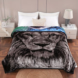 Lion&black leopard