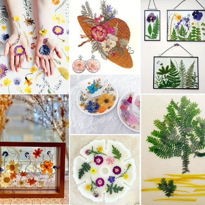 500-Piece Natural Dried Pressed Flower and Leaf Assortment for Resin, Scrapbooks, Cards and DIY Crafts