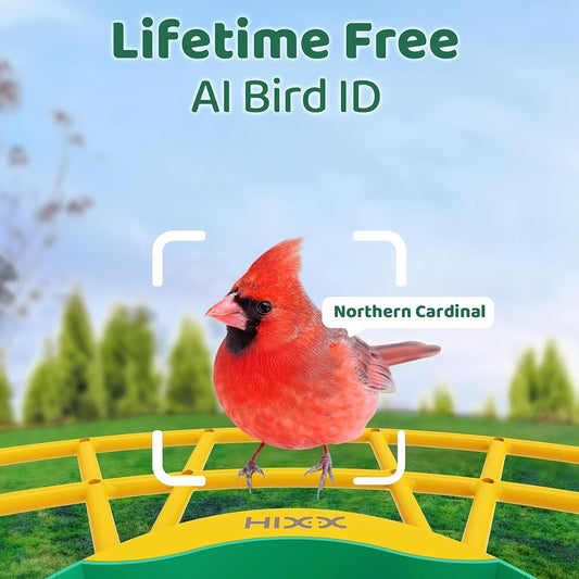 Smart Bird Feeder with Camera AI Bird Identification, 2K HD Live View, Auto Capture & Color Night Vision, Outdoor Wireless Bird Watching Gift for Bird Lovers, Green