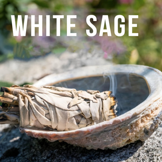 Sage Smudge Kit 5 Pack White Sage Cedarwood Dragon's Blood Eucalyptus Lavender Incense Sticks Set for House Cleansing Meditation Spiritual Purification Home Decor Gift Set for Women Men Beginners