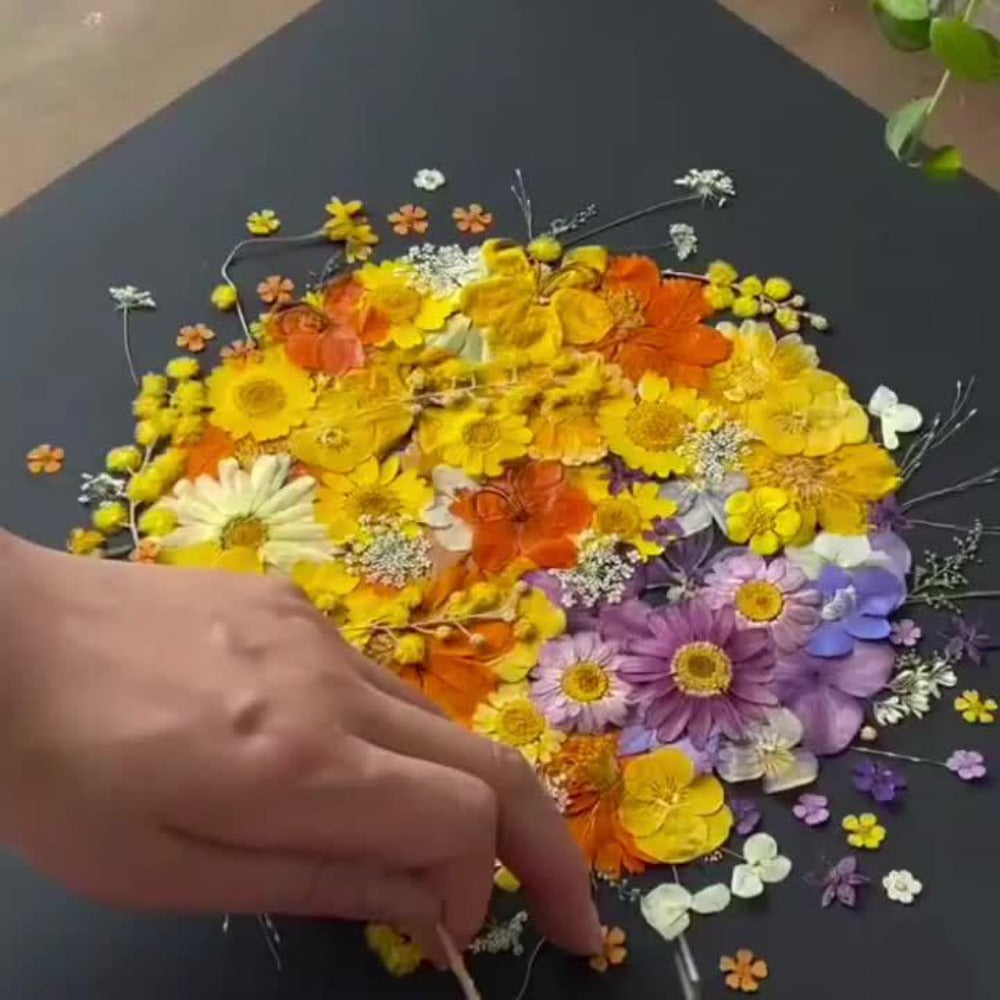 500-Piece Natural Dried Pressed Flower and Leaf Assortment for Resin, Scrapbooks, Cards and DIY Crafts
