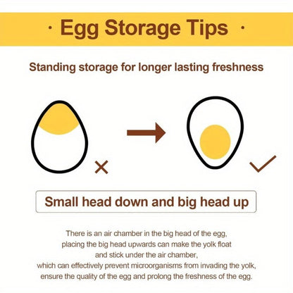 Egg Drawer Food Storage Organizer for Refrigerator with Two Clear Tiers, Lid and 40-Egg Capacity