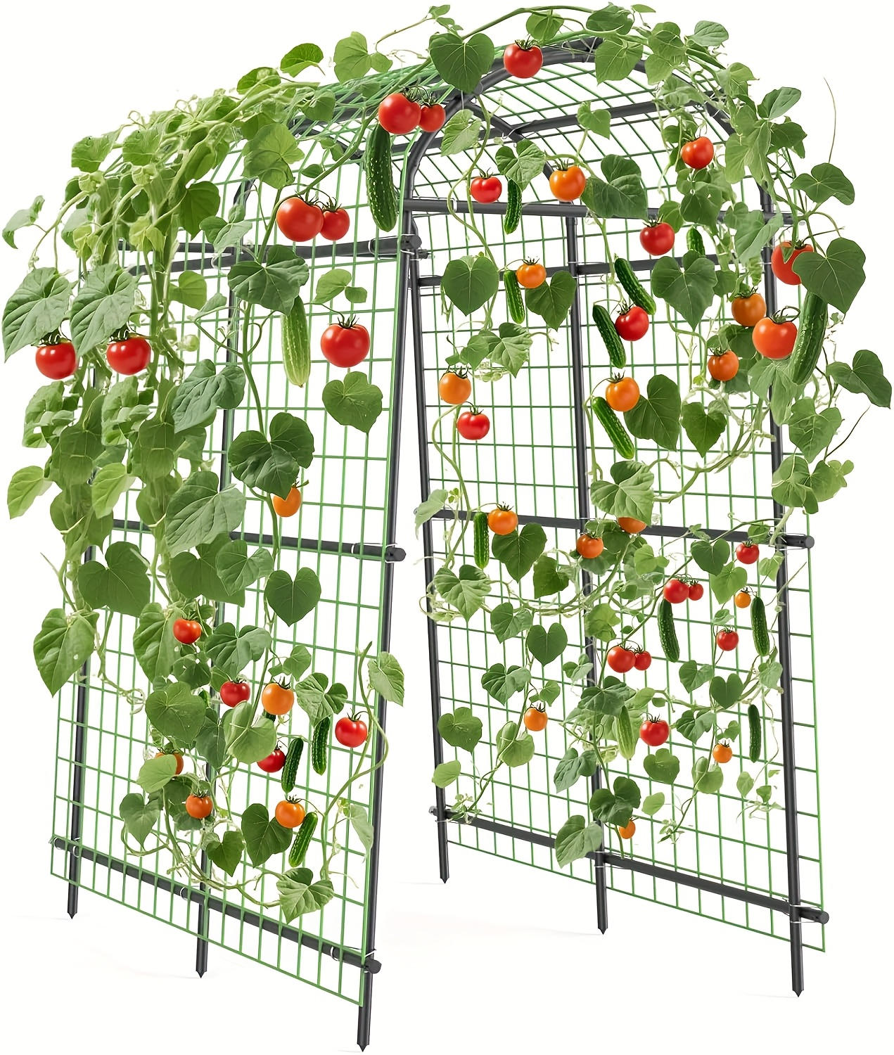 7.5-Foot Garden Arch Trellis with Metal Grid Panels, Seven Horizontal Pipes and Black Frame