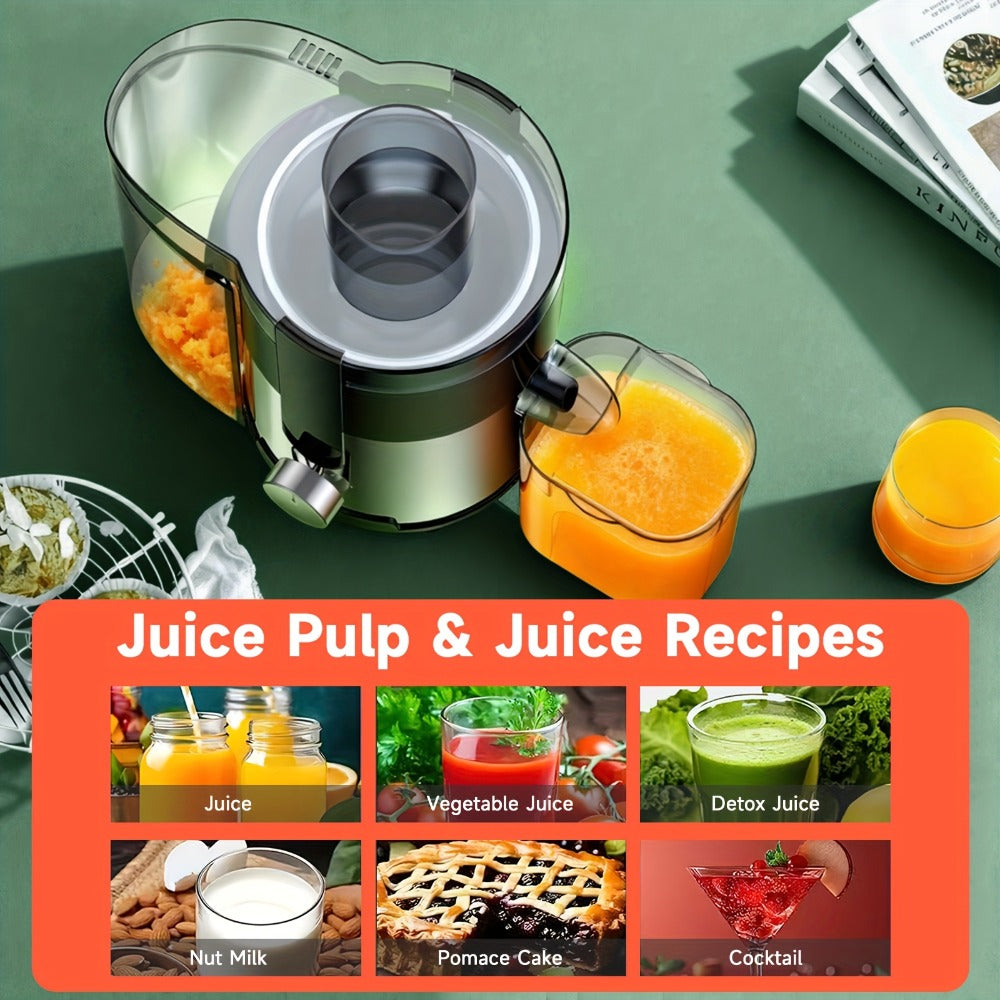 Two-Option Centrifugal Juicer Listing with Distinct Ordinary Paragraph and Juicer Body Mappings